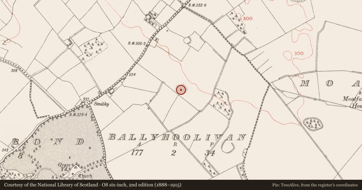 Ordnance Survey six-inch map, 2nd edition (1888–1915) covering the location of Ringfort - rath, Ballyhoolivan, County Longford, with a pin at the register's coordinates