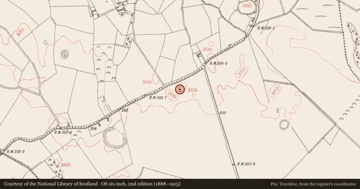 Ordnance Survey six-inch map, 2nd edition (1888–1915) covering the location of Barrow - ring-barrow, Moatfarrell, County Longford, with a pin at the register's coordinates