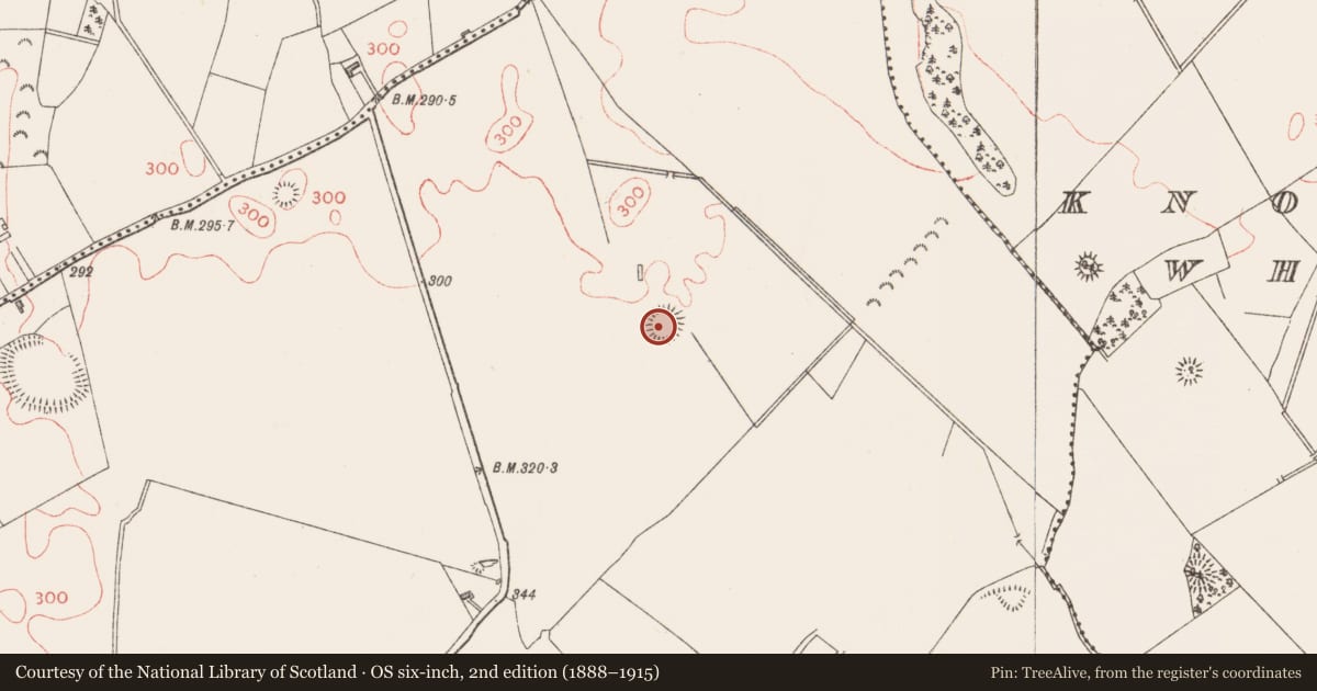 Ordnance Survey six-inch map, 2nd edition (1888–1915) covering the location of Barrow - ring-barrow, Moatfarrell, County Longford, with a pin at the register's coordinates