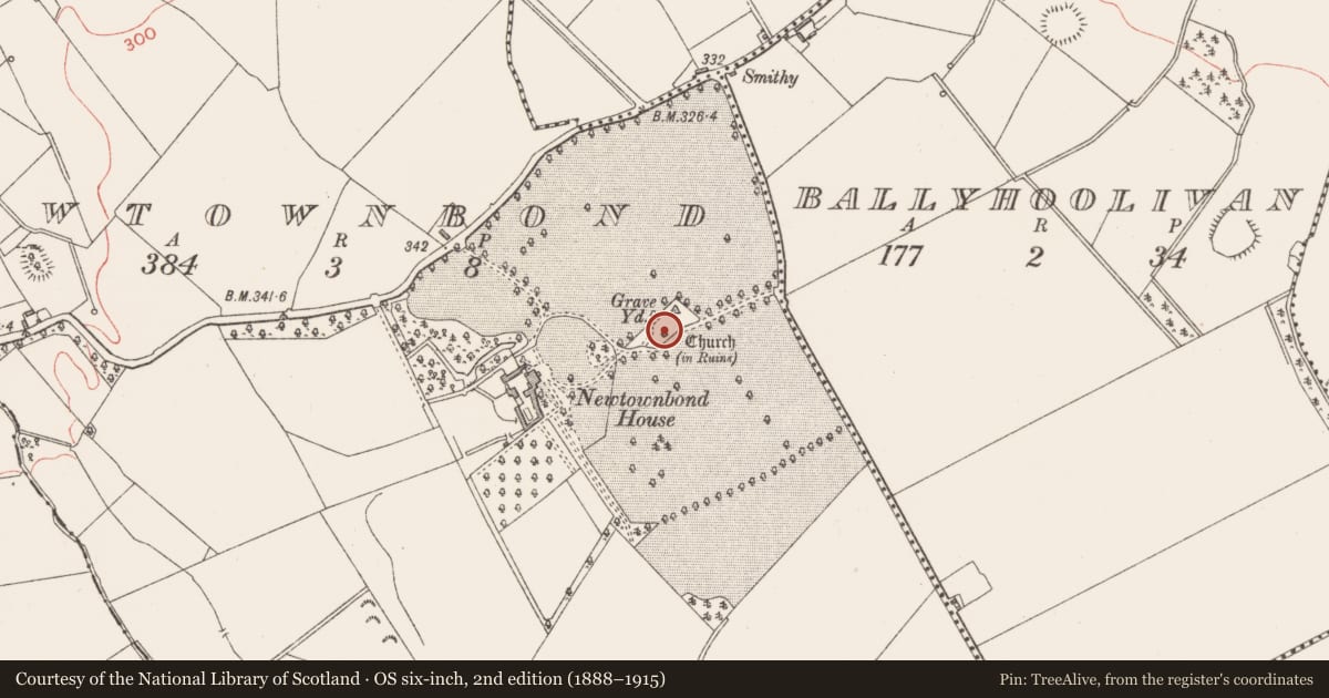 Ordnance Survey six-inch map, 2nd edition (1888–1915) covering the location of Graveslab, Newtownbond, County Longford, with a pin at the register's coordinates