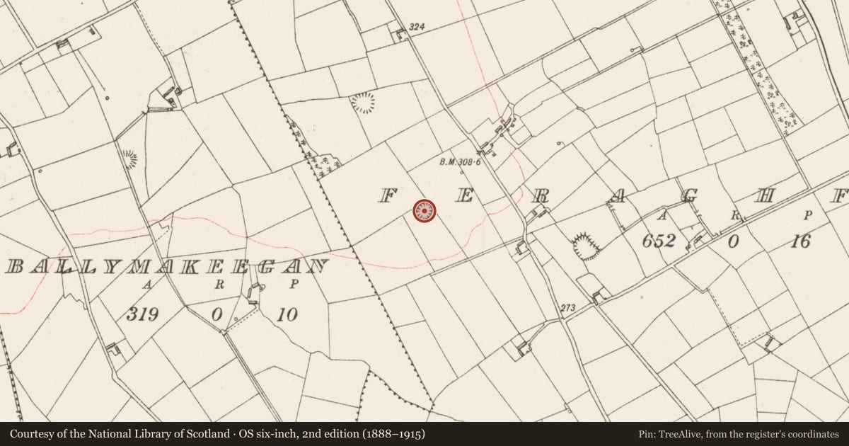 Ordnance Survey six-inch map, 2nd edition (1888–1915) covering the location of Ringfort - rath, Feraghfad, County Longford, with a pin at the register's coordinates
