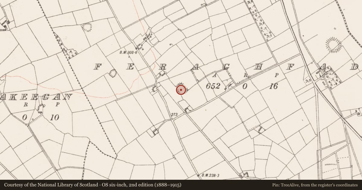 Ordnance Survey six-inch map, 2nd edition (1888–1915) covering the location of Enclosure, Feraghfad, County Longford, with a pin at the register's coordinates