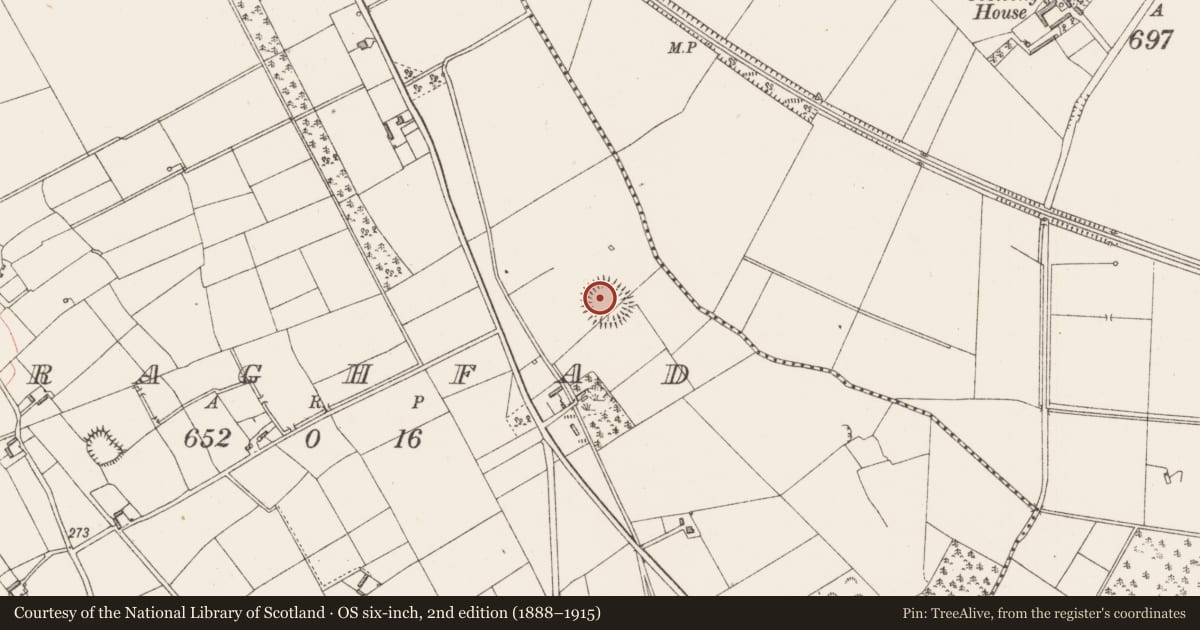 Ordnance Survey six-inch map, 2nd edition (1888–1915) covering the location of Ringfort - rath, Feraghfad, County Longford, with a pin at the register's coordinates