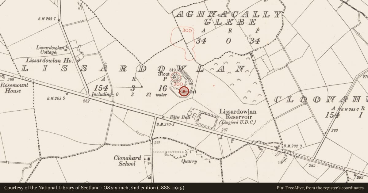 Ordnance Survey six-inch map, 2nd edition (1888–1915) covering the location of Field boundary, Lissardowlan, County Longford, with a pin at the register's coordinates