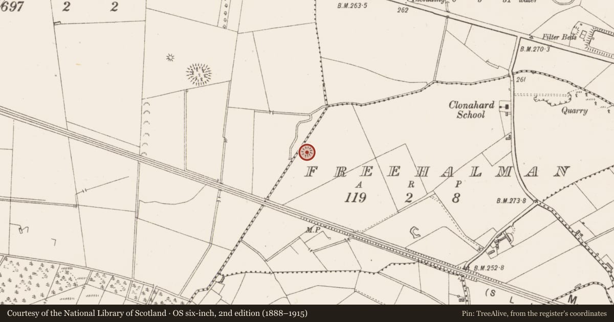 Ordnance Survey six-inch map, 2nd edition (1888–1915) covering the location of Ringfort - rath, Freehalman, County Longford, with a pin at the register's coordinates