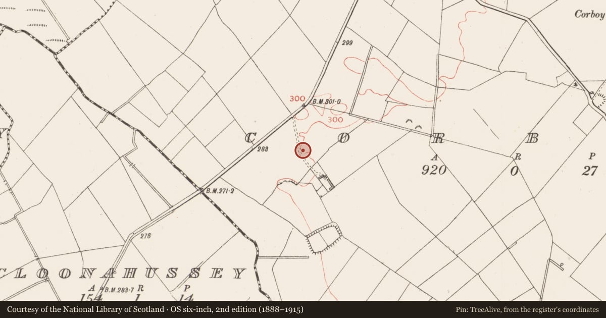 Ordnance Survey six-inch map, 2nd edition (1888–1915) covering the location of Ringfort - rath, Corboy, County Longford, with a pin at the register's coordinates