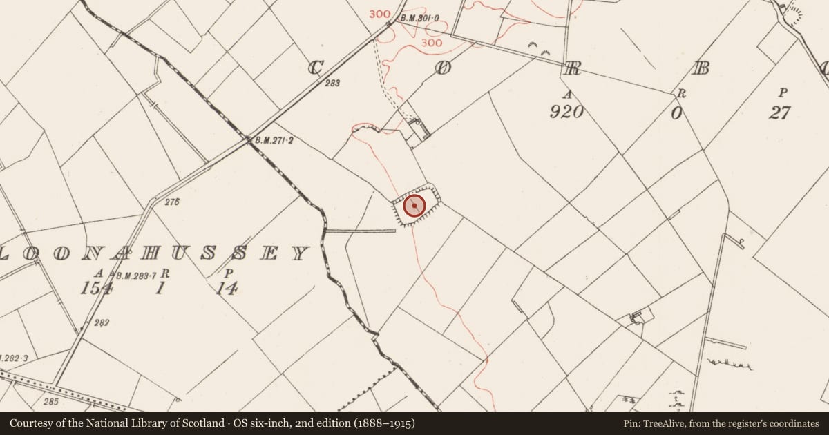 Ordnance Survey six-inch map, 2nd edition (1888–1915) covering the location of Moated site, Corboy, County Longford, with a pin at the register's coordinates