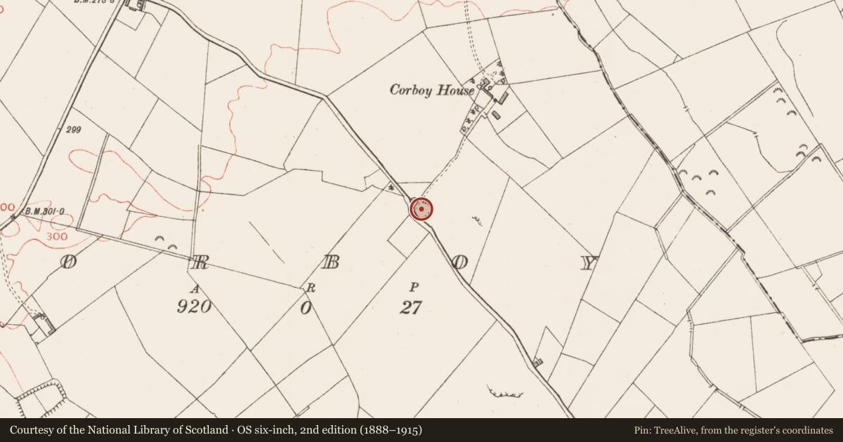 Ordnance Survey six-inch map, 2nd edition (1888–1915) covering the location of Ringfort - rath, Corboy, County Longford, with a pin at the register's coordinates