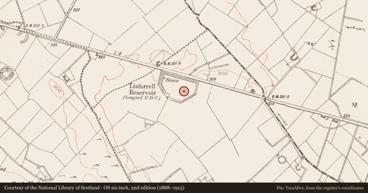 Ordnance Survey six-inch map, 2nd edition (1888–1915) covering the location of Ringfort - rath, Lisfarrell, County Longford, with a pin at the register's coordinates