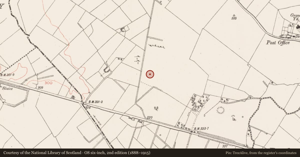 Ordnance Survey six-inch map, 2nd edition (1888–1915) covering the location of Ringfort - rath, Corboy, County Longford, with a pin at the register's coordinates
