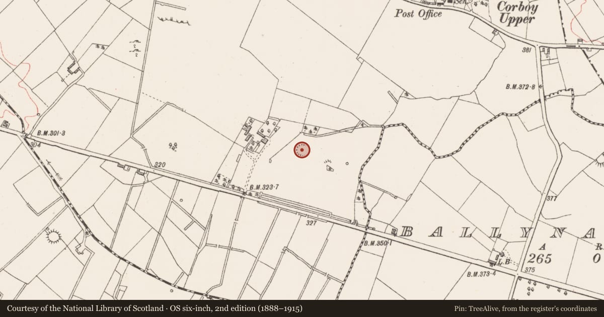 Ordnance Survey six-inch map, 2nd edition (1888–1915) covering the location of Ringfort - rath, Corboy, County Longford, with a pin at the register's coordinates