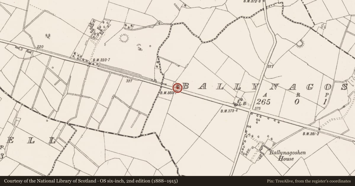 Ordnance Survey six-inch map, 2nd edition (1888–1915) covering the location of Ringfort - rath, Ballynagoshen, County Longford, with a pin at the register's coordinates