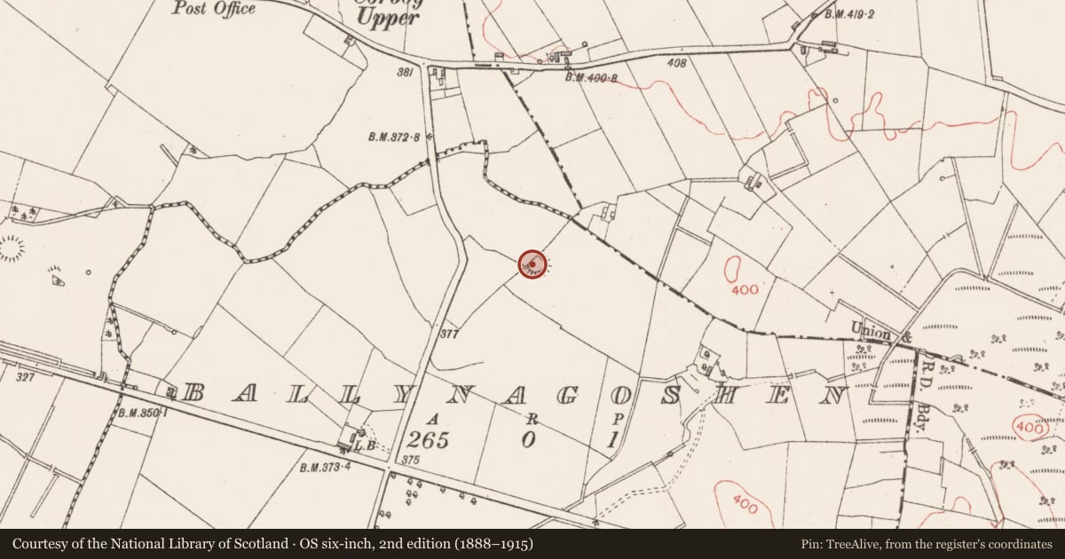 Ordnance Survey six-inch map, 2nd edition (1888–1915) covering the location of Ringfort - rath, Ballynagoshen, County Longford, with a pin at the register's coordinates