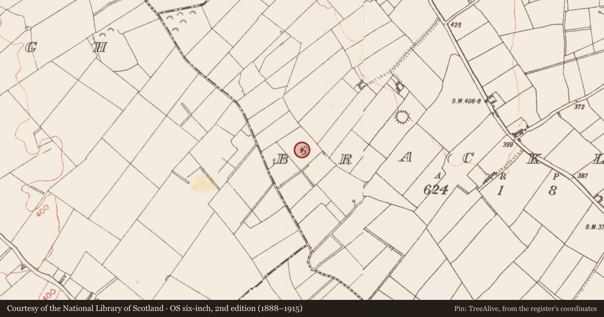Ordnance Survey six-inch map, 2nd edition (1888–1915) covering the location of Ringfort - rath, Bracklon, County Longford, with a pin at the register's coordinates