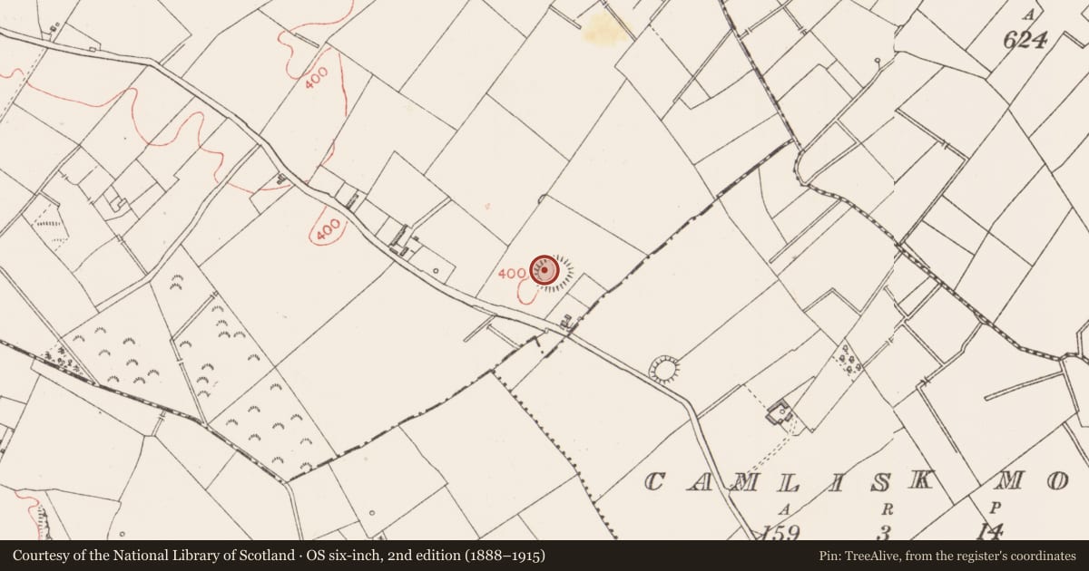 Ordnance Survey six-inch map, 2nd edition (1888–1915) covering the location of Ringfort - rath, Lisnanagh, County Longford, with a pin at the register's coordinates