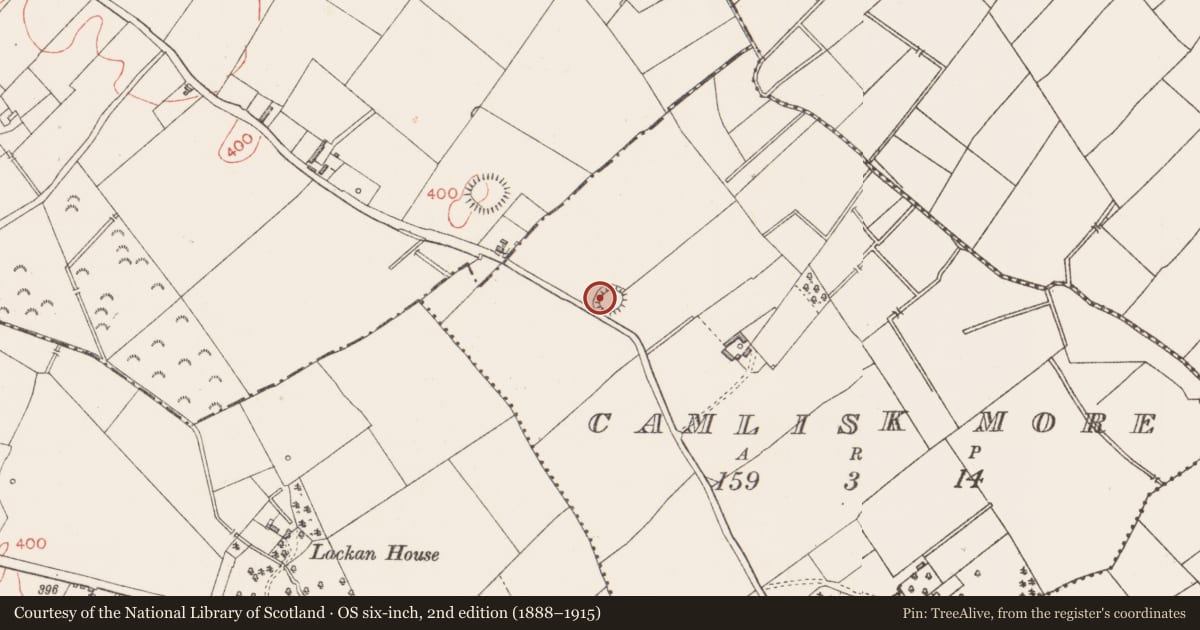 Ordnance Survey six-inch map, 2nd edition (1888–1915) covering the location of Ringfort - rath, Camlisk More, County Longford, with a pin at the register's coordinates