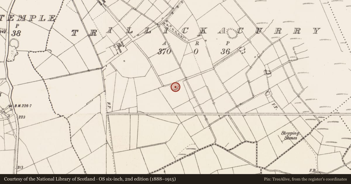 Ordnance Survey six-inch map, 2nd edition (1888–1915) covering the location of Ringfort - rath, Trillickacurry, County Longford, with a pin at the register's coordinates