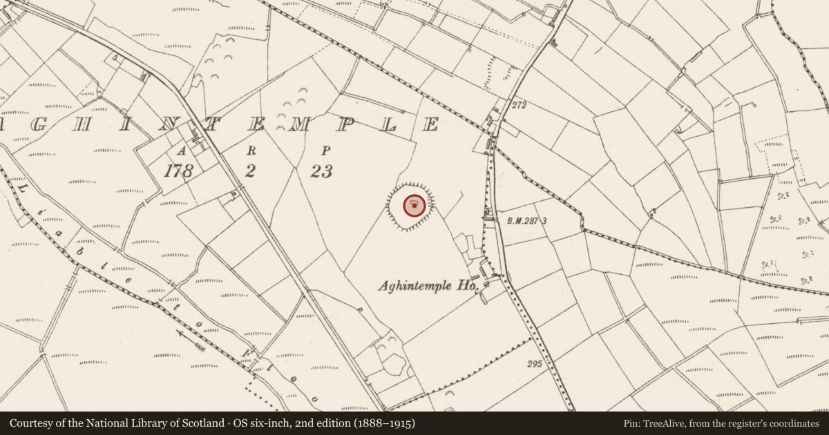Ordnance Survey six-inch map, 2nd edition (1888–1915) covering the location of Church, Aghintemple, County Longford, with a pin at the register's coordinates