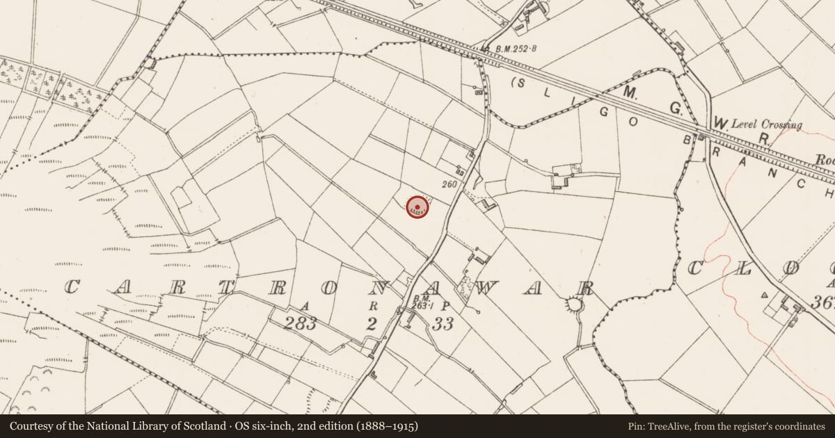 Ordnance Survey six-inch map, 2nd edition (1888–1915) covering the location of Ringfort - rath, Cartronawar, County Longford, with a pin at the register's coordinates