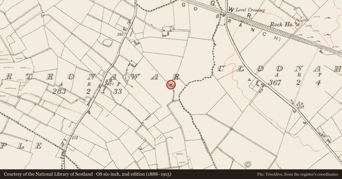 Ordnance Survey six-inch map, 2nd edition (1888–1915) covering the location of Ringfort - rath, Cartronawar, County Longford, with a pin at the register's coordinates