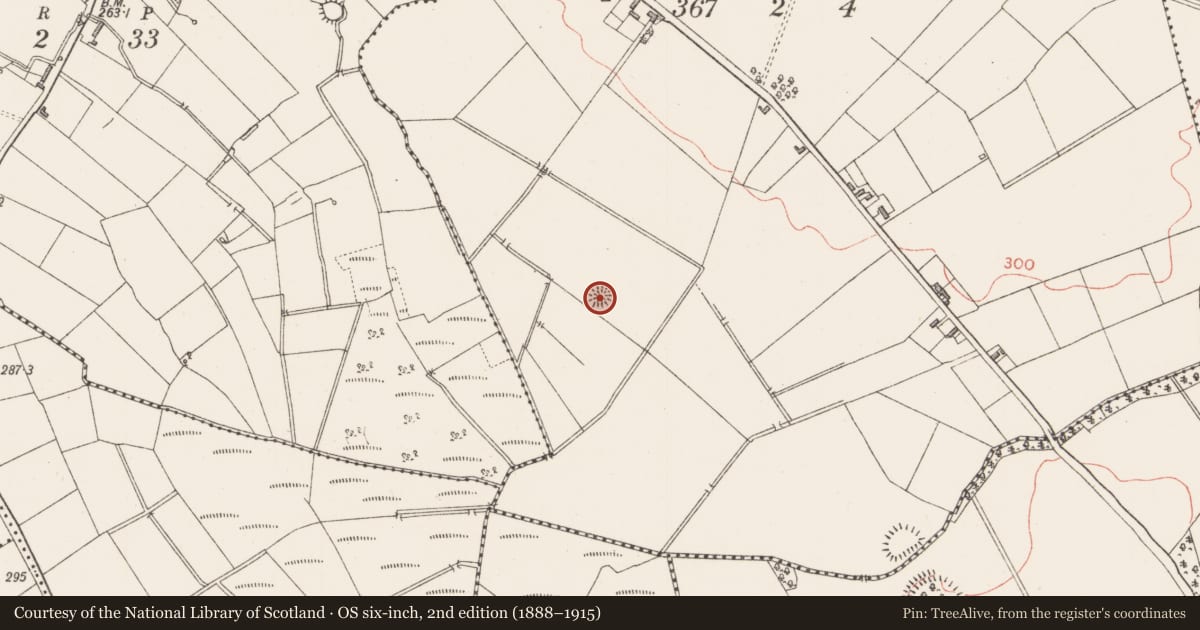 Ordnance Survey six-inch map, 2nd edition (1888–1915) covering the location of Ringfort - rath, Cloonahard, County Longford, with a pin at the register's coordinates