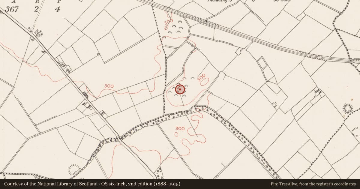 Ordnance Survey six-inch map, 2nd edition (1888–1915) covering the location of Ringfort - rath, Lisfarrell, County Longford, with a pin at the register's coordinates