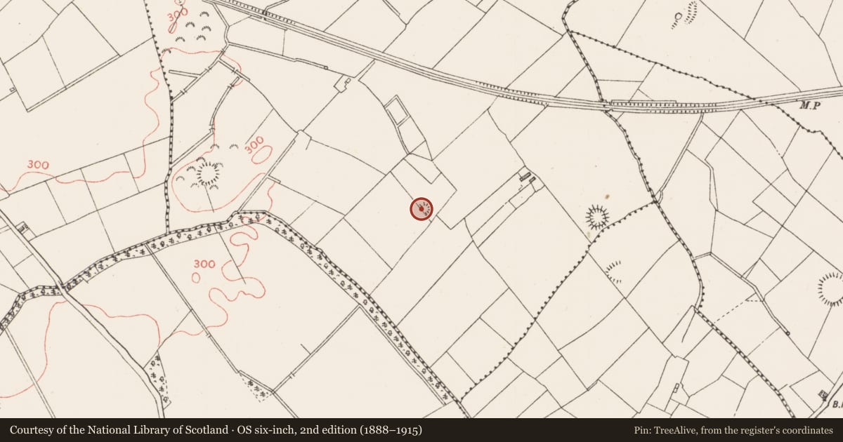 Ordnance Survey six-inch map, 2nd edition (1888–1915) covering the location of Barrow - pond barrow, Lisfarrell, County Longford, with a pin at the register's coordinates