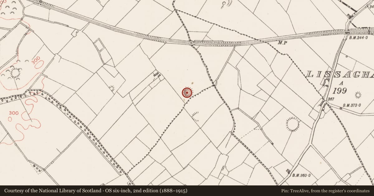 Ordnance Survey six-inch map, 2nd edition (1888–1915) covering the location of Ringfort - rath, Lisfarrell, County Longford, with a pin at the register's coordinates