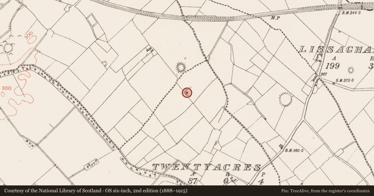 Ordnance Survey six-inch map, 2nd edition (1888–1915) covering the location of Ringfort - rath, Twentyacres, County Longford, with a pin at the register's coordinates