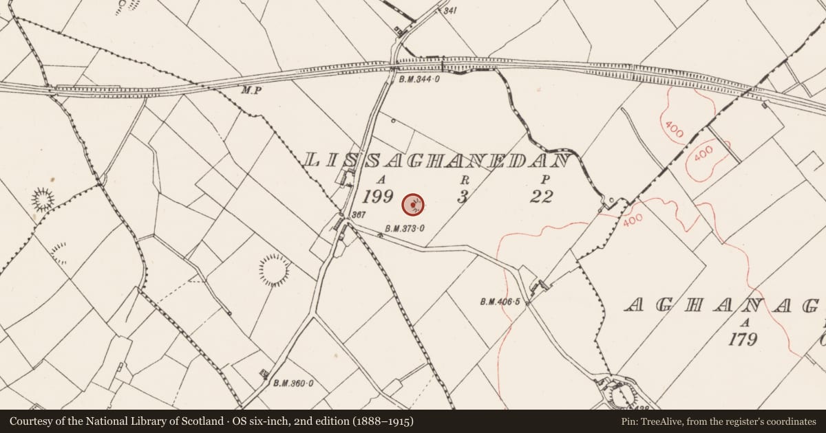 Ordnance Survey six-inch map, 2nd edition (1888–1915) covering the location of Barrow - ring-barrow, Lissaghanedan, County Longford, with a pin at the register's coordinates