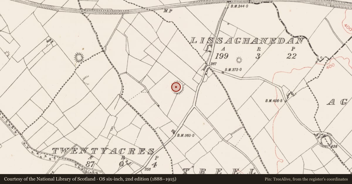 Ordnance Survey six-inch map, 2nd edition (1888–1915) covering the location of Ringfort - rath, Treel, County Longford, with a pin at the register's coordinates