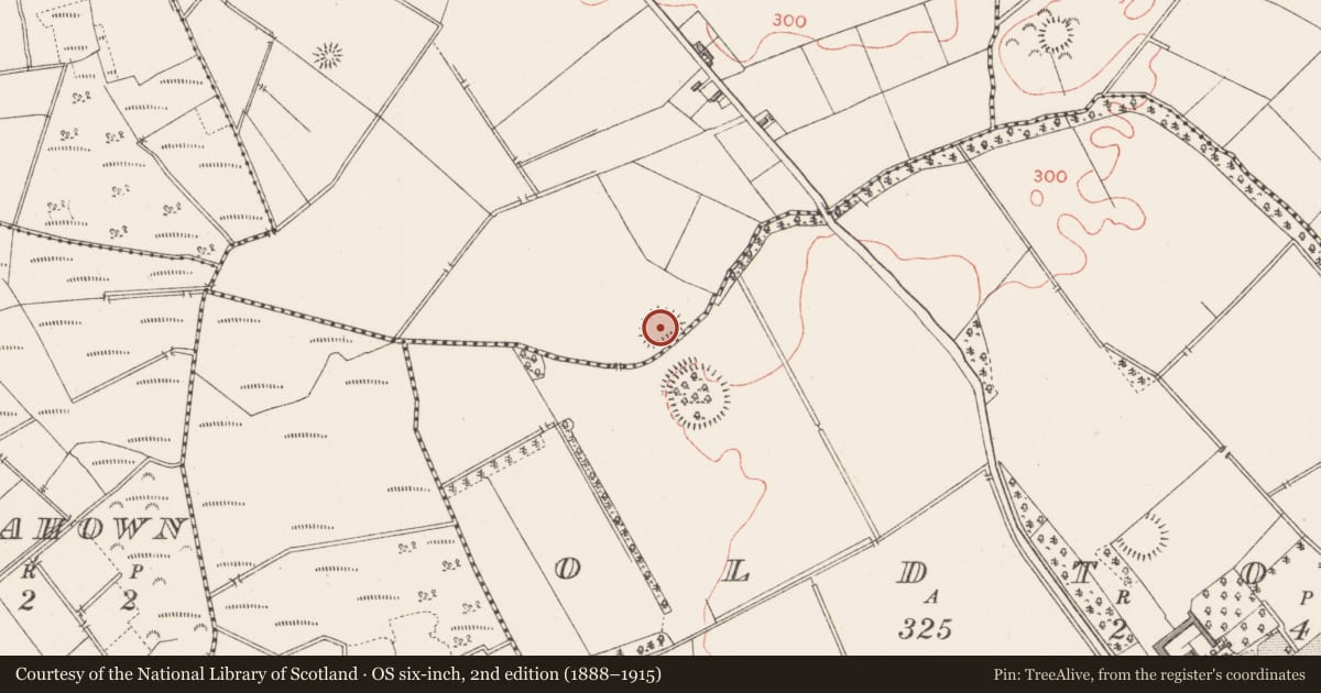 Ordnance Survey six-inch map, 2nd edition (1888–1915) covering the location of Ringfort - rath, Cloonahard, County Longford, with a pin at the register's coordinates