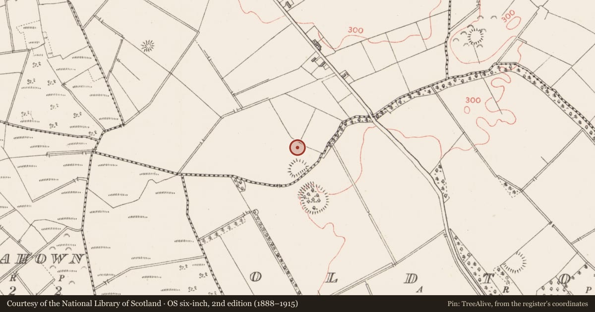 Ordnance Survey six-inch map, 2nd edition (1888–1915) covering the location of Ringfort - rath, Cloonahard, County Longford, with a pin at the register's coordinates