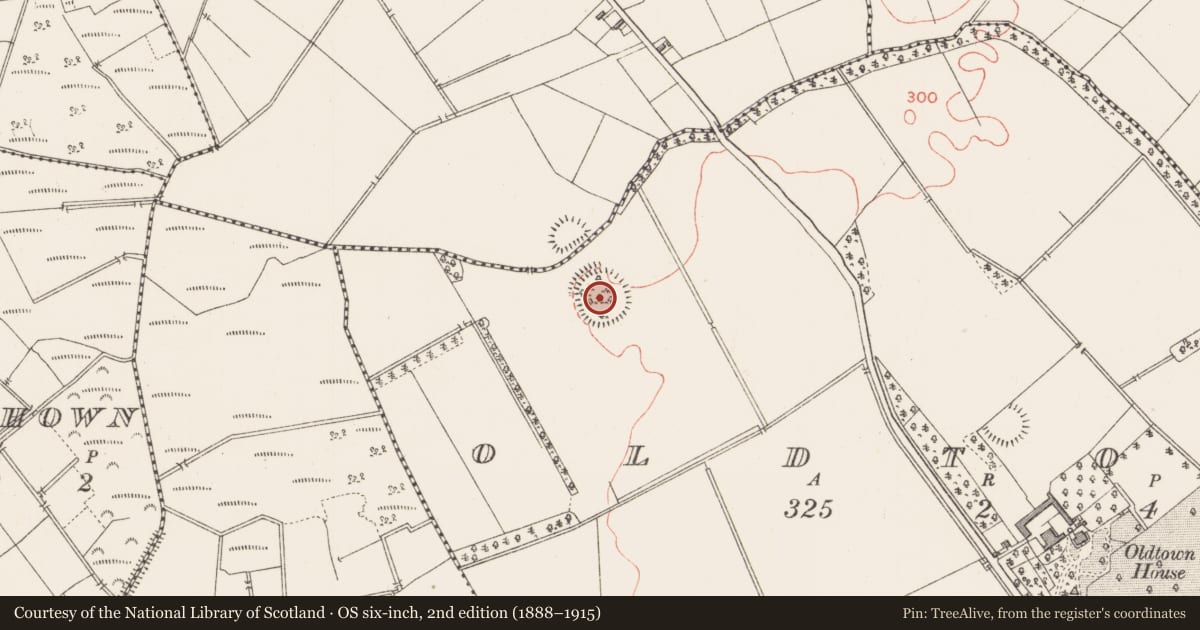 Ordnance Survey six-inch map, 2nd edition (1888–1915) covering the location of Ringfort - rath, Oldtown, County Longford, with a pin at the register's coordinates