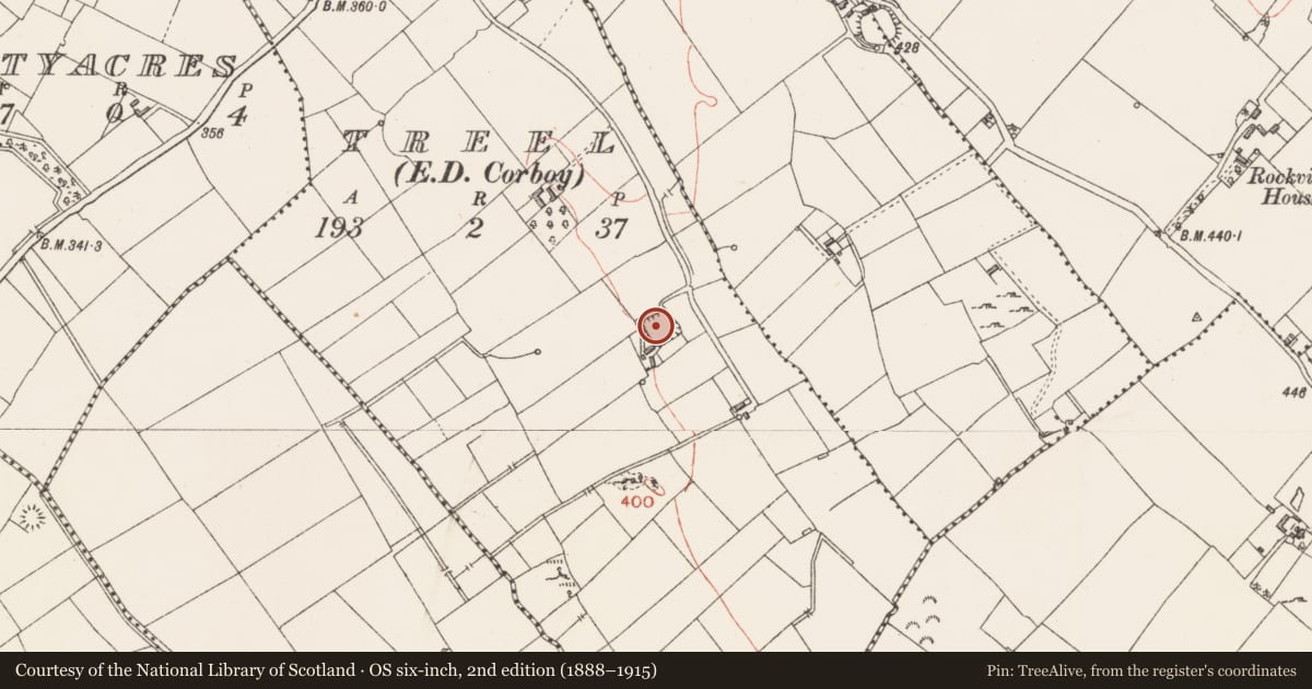 Ordnance Survey six-inch map, 2nd edition (1888–1915) covering the location of Enclosure, Treel, County Longford, with a pin at the register's coordinates