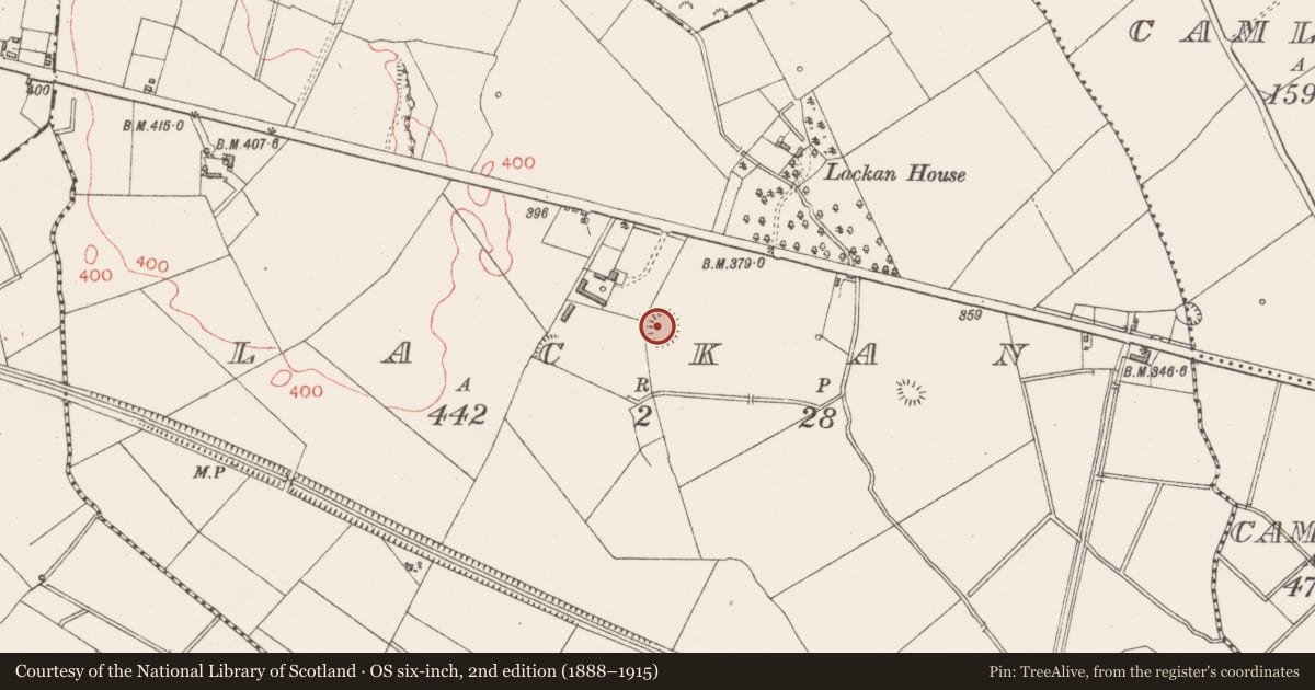 Ordnance Survey six-inch map, 2nd edition (1888–1915) covering the location of Ringfort - rath, Lackan, County Longford, with a pin at the register's coordinates