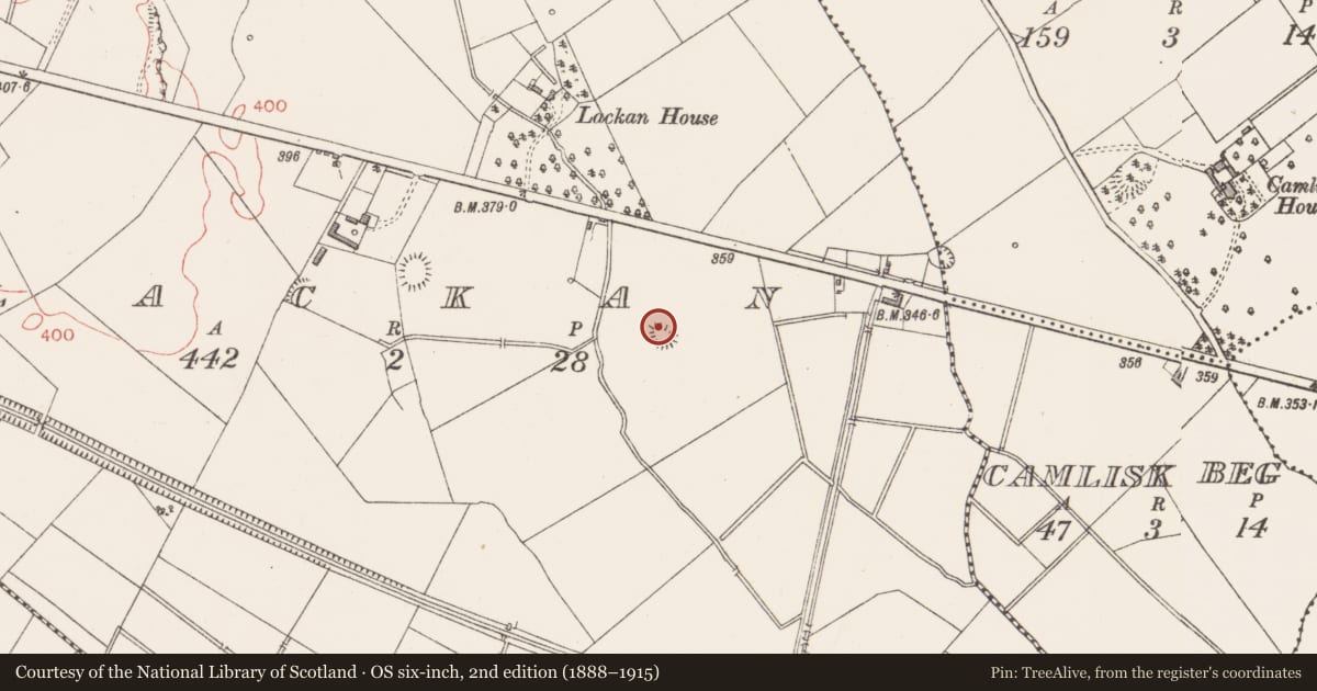 Ordnance Survey six-inch map, 2nd edition (1888–1915) covering the location of Barrow - ring-barrow, Lackan, County Longford, with a pin at the register's coordinates