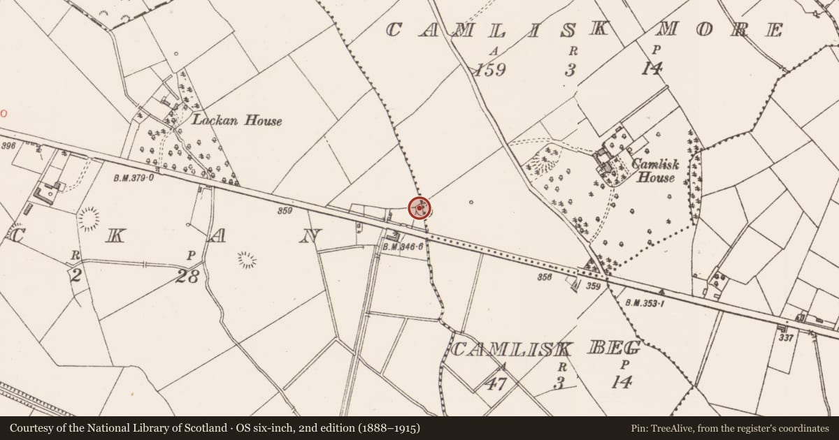 Ordnance Survey six-inch map, 2nd edition (1888–1915) covering the location of Ringfort - rath, Camlisk More, Lackan, County Longford, with a pin at the register's coordinates