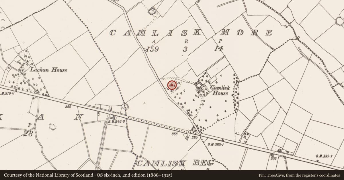 Ordnance Survey six-inch map, 2nd edition (1888–1915) covering the location of Ringfort - rath, Camlisk More, County Longford, with a pin at the register's coordinates