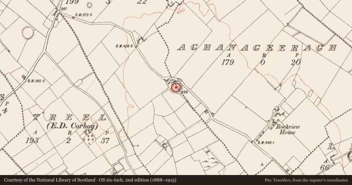 Ordnance Survey six-inch map, 2nd edition (1888–1915) covering the location of Ringfort - rath, Aghanageeragh, Lissaghanedan, County Longford, with a pin at the register's coordinates