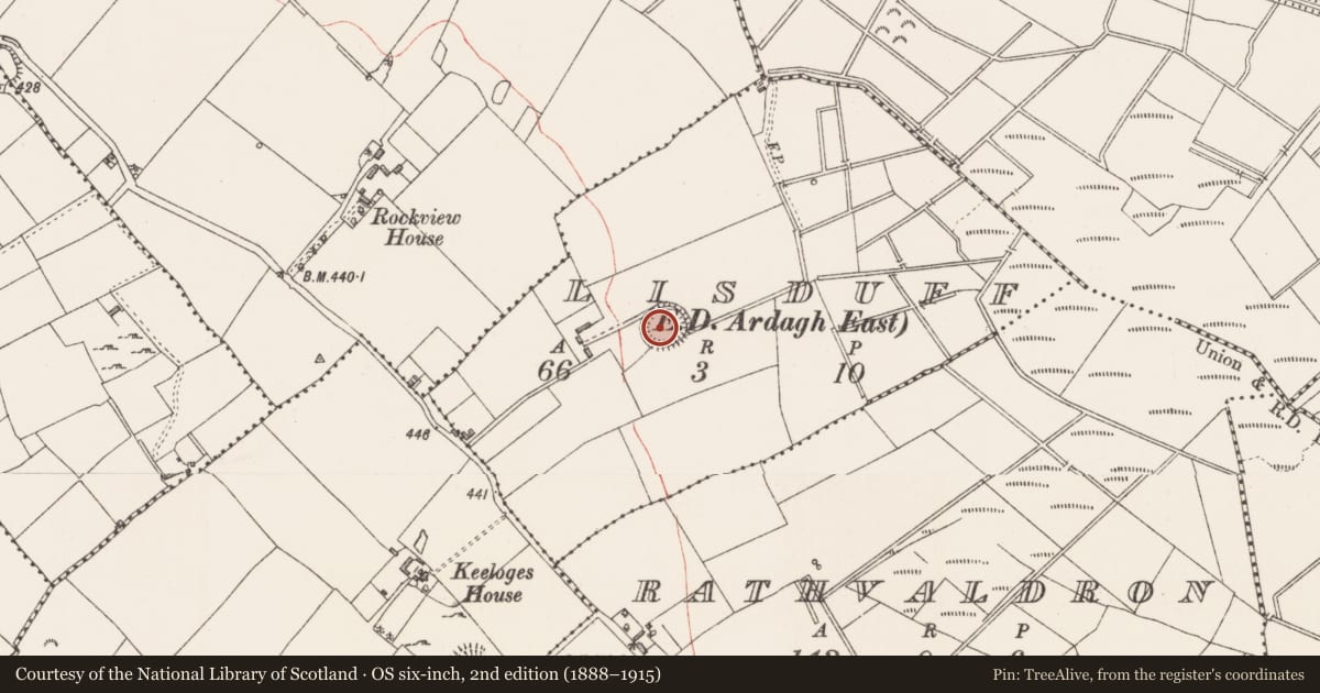 Ordnance Survey six-inch map, 2nd edition (1888–1915) covering the location of Ringfort - rath, Lisduff, County Longford, with a pin at the register's coordinates