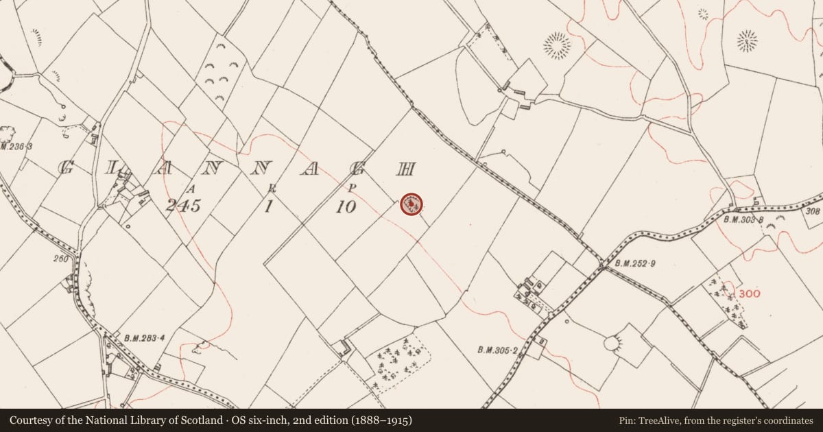Ordnance Survey six-inch map, 2nd edition (1888–1915) covering the location of Ringfort - rath, Glannagh, County Longford, with a pin at the register's coordinates