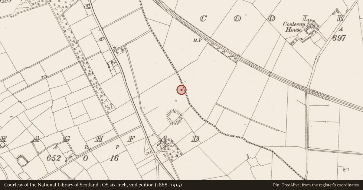 Ordnance Survey six-inch map, 2nd edition (1888–1915) covering the location of Ritual site - holy well, Feraghfad, County Longford, with a pin at the register's coordinates