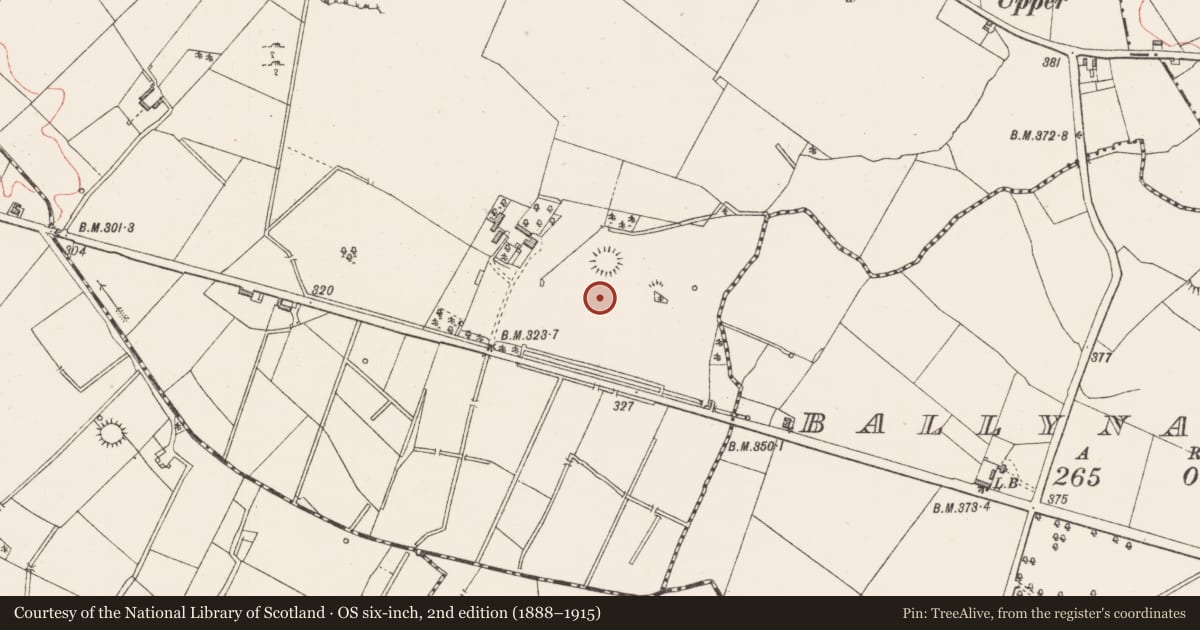 Ordnance Survey six-inch map, 2nd edition (1888–1915) covering the location of Barrow - unclassified, Corboy, County Longford, with a pin at the register's coordinates