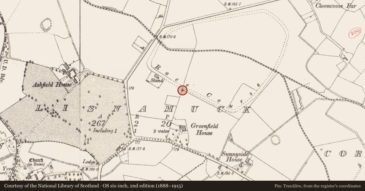 Ordnance Survey six-inch map, 2nd edition (1888–1915) covering the location of Fulacht fia, Lisnamuck, County Longford, with a pin at the register's coordinates