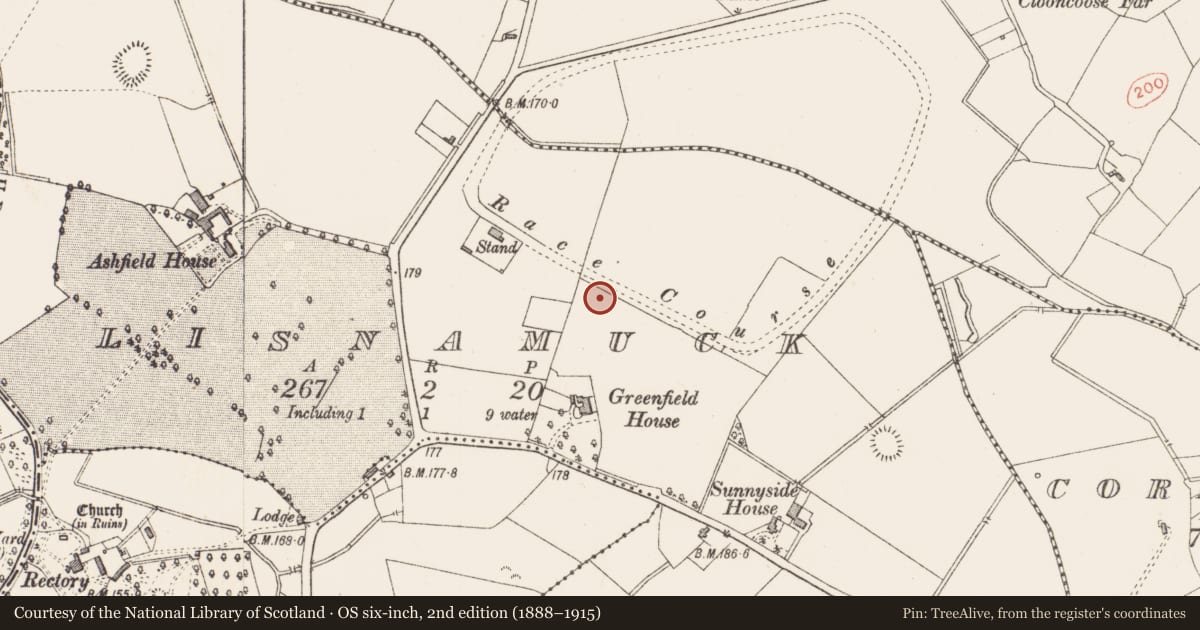 Ordnance Survey six-inch map, 2nd edition (1888–1915) covering the location of Burnt mound, Lisnamuck, County Longford, with a pin at the register's coordinates