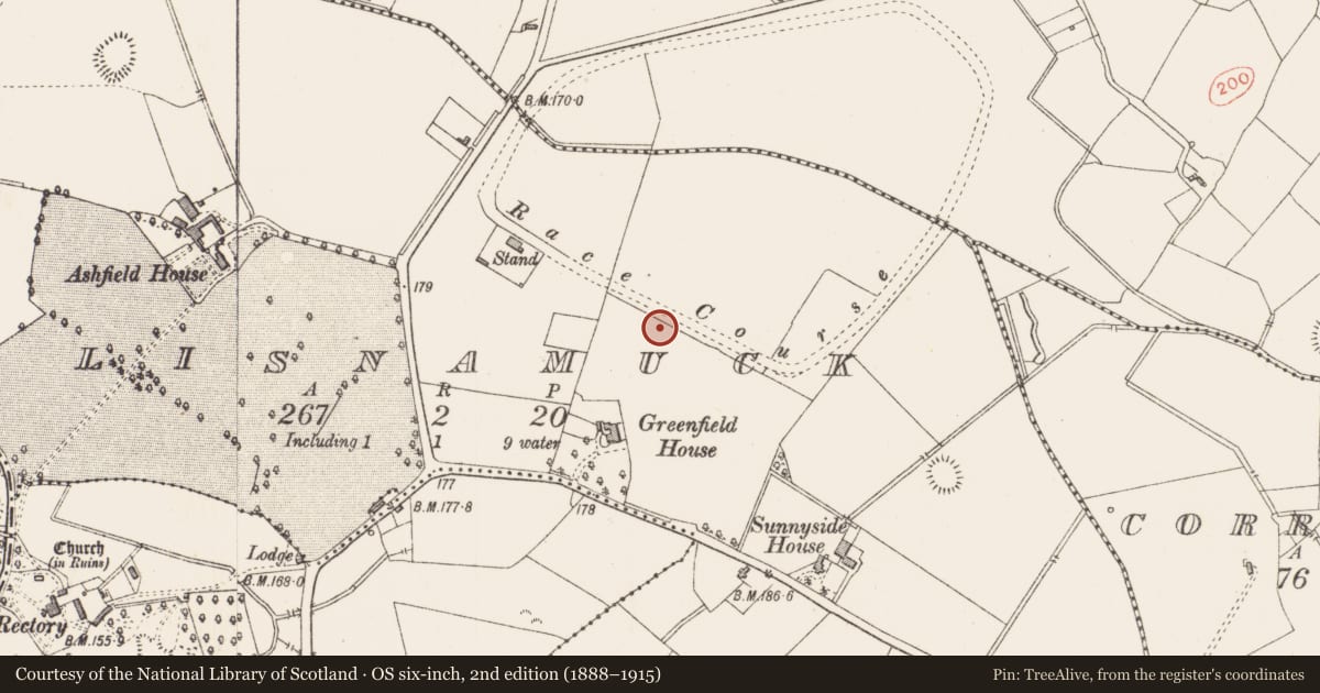 Ordnance Survey six-inch map, 2nd edition (1888–1915) covering the location of Fulacht fia, Lisnamuck, County Longford, with a pin at the register's coordinates
