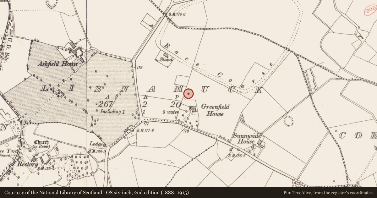 Ordnance Survey six-inch map, 2nd edition (1888–1915) covering the location of Excavation - miscellaneous, Lisnamuck, County Longford, with a pin at the register's coordinates