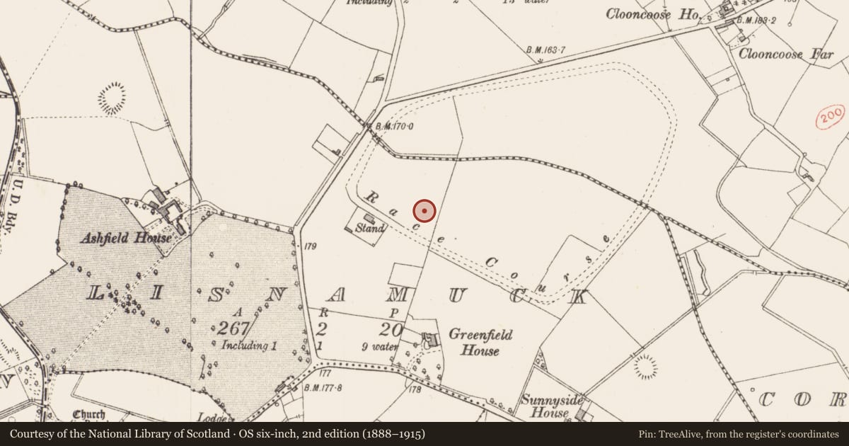 Ordnance Survey six-inch map, 2nd edition (1888–1915) covering the location of Fulacht fia, Lisnamuck, County Longford, with a pin at the register's coordinates