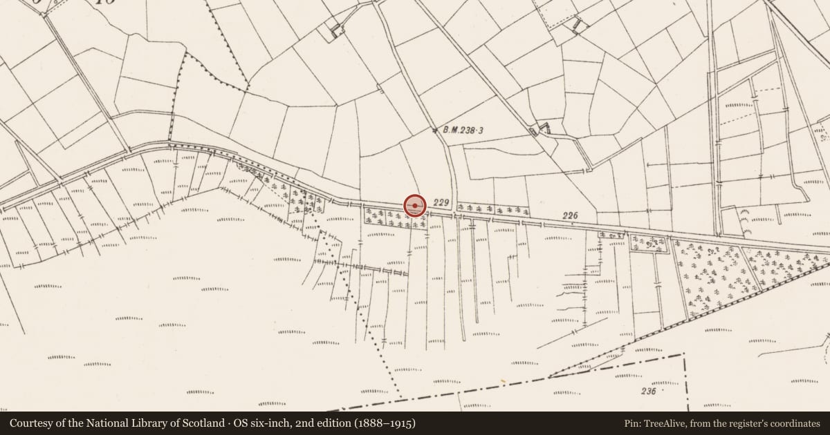 Ordnance Survey six-inch map, 2nd edition (1888–1915) covering the location of Ritual site - holy well, Feraghfad, County Longford, with a pin at the register's coordinates